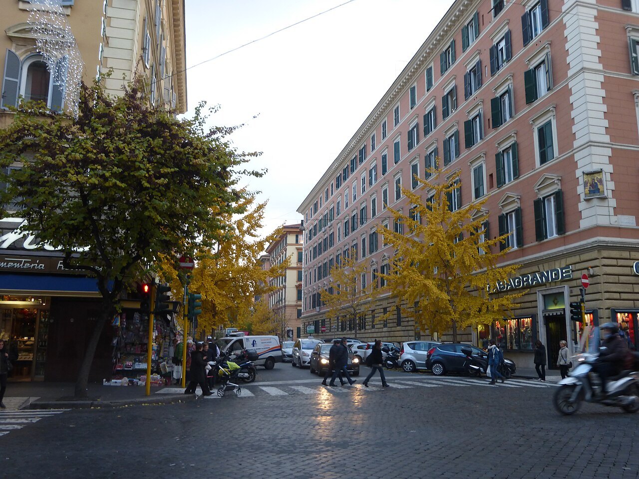 Golden ginkgo trees on a street corner in Prati, traffic crossing below tall apartment blocks