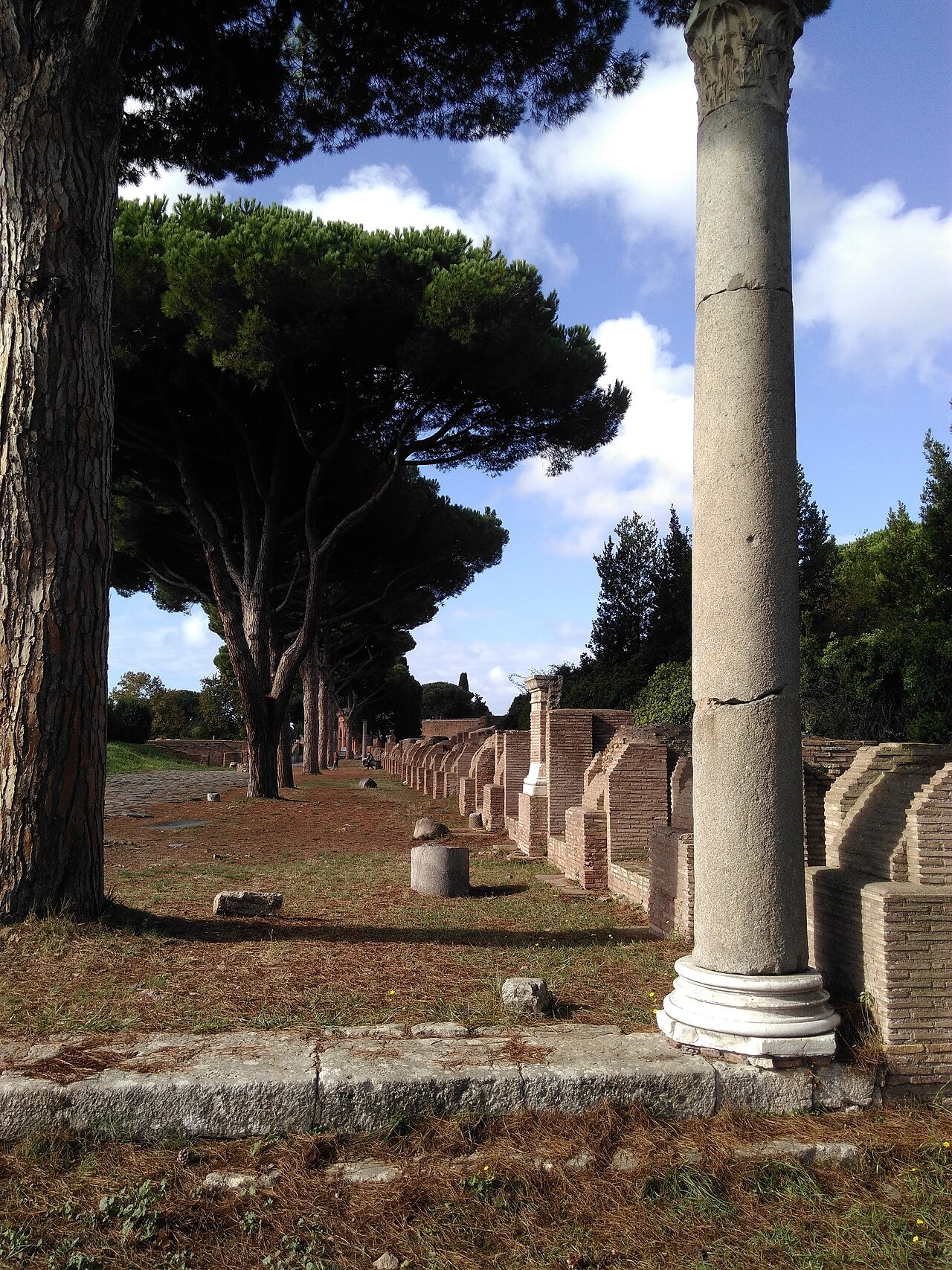A column and pines beside a line of brick ruins along the main street of Ostia Antica