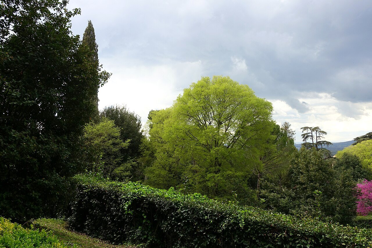 A green view from the gardens of the Villa d'Este at Tivoli, trees and hedges under a cloudy sky