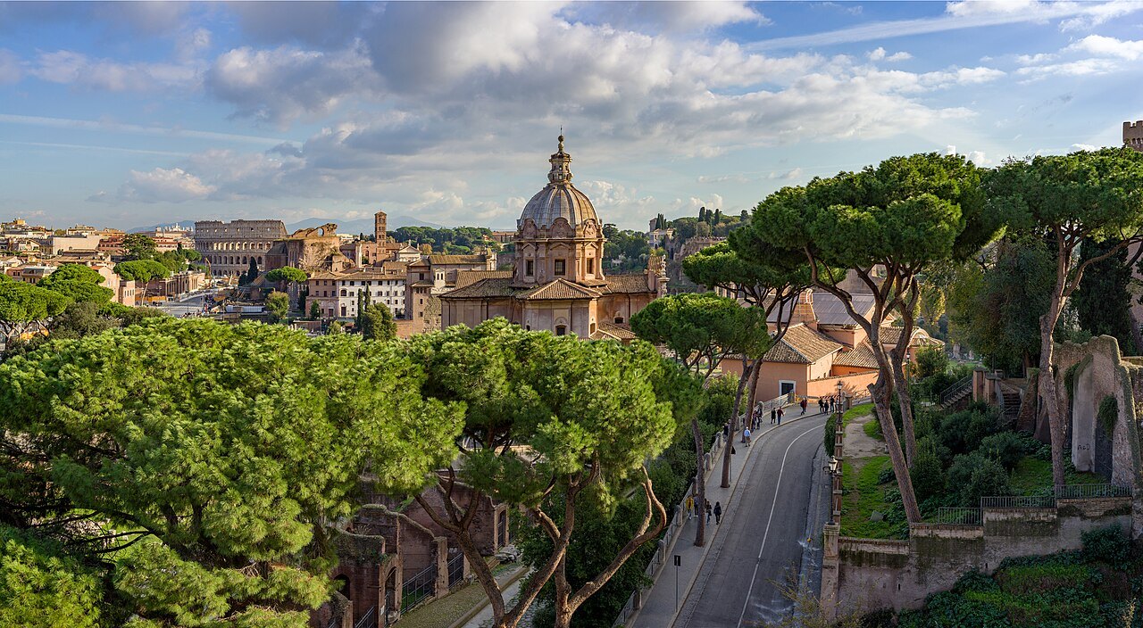 Umbrella pines over the Roman Forum seen from the Victor Emmanuel Monument