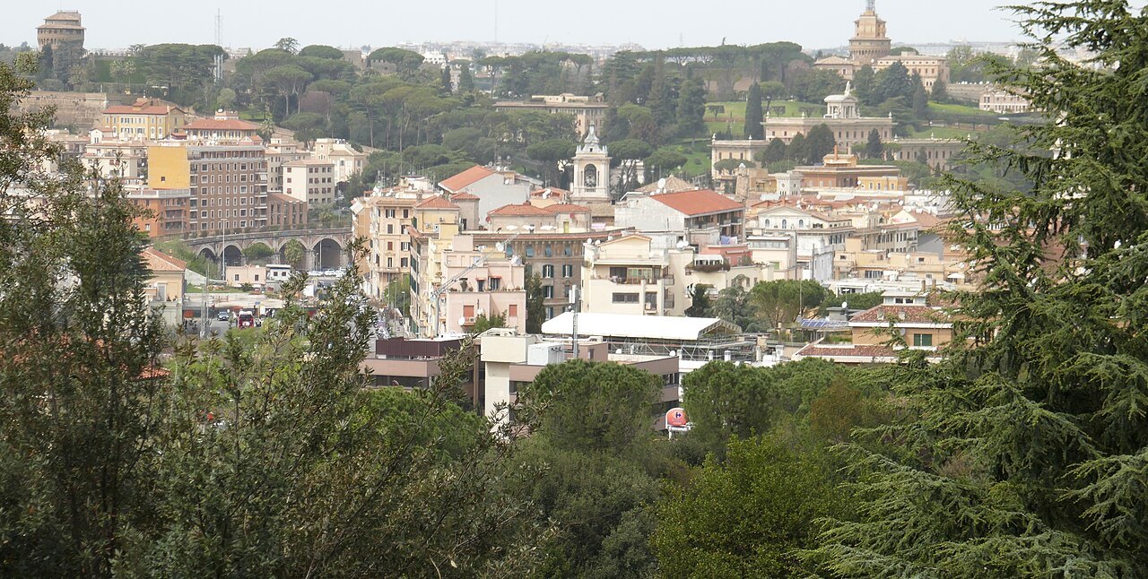 Rome's rooftops and domes from the Janiculum, trees in the foreground