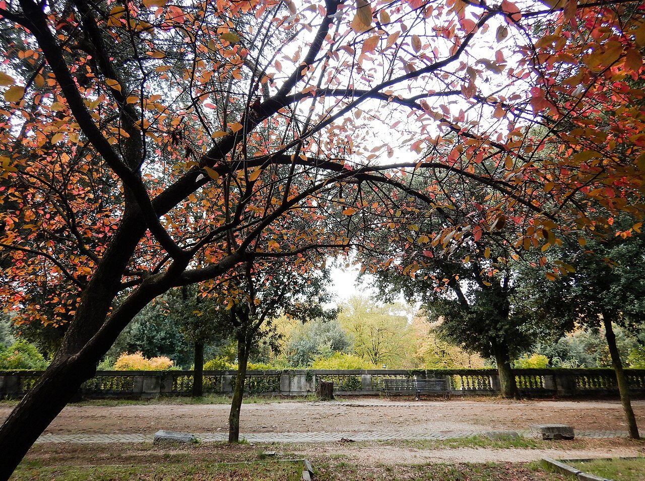 Autumn trees in red and gold over a terrace in a Roman park