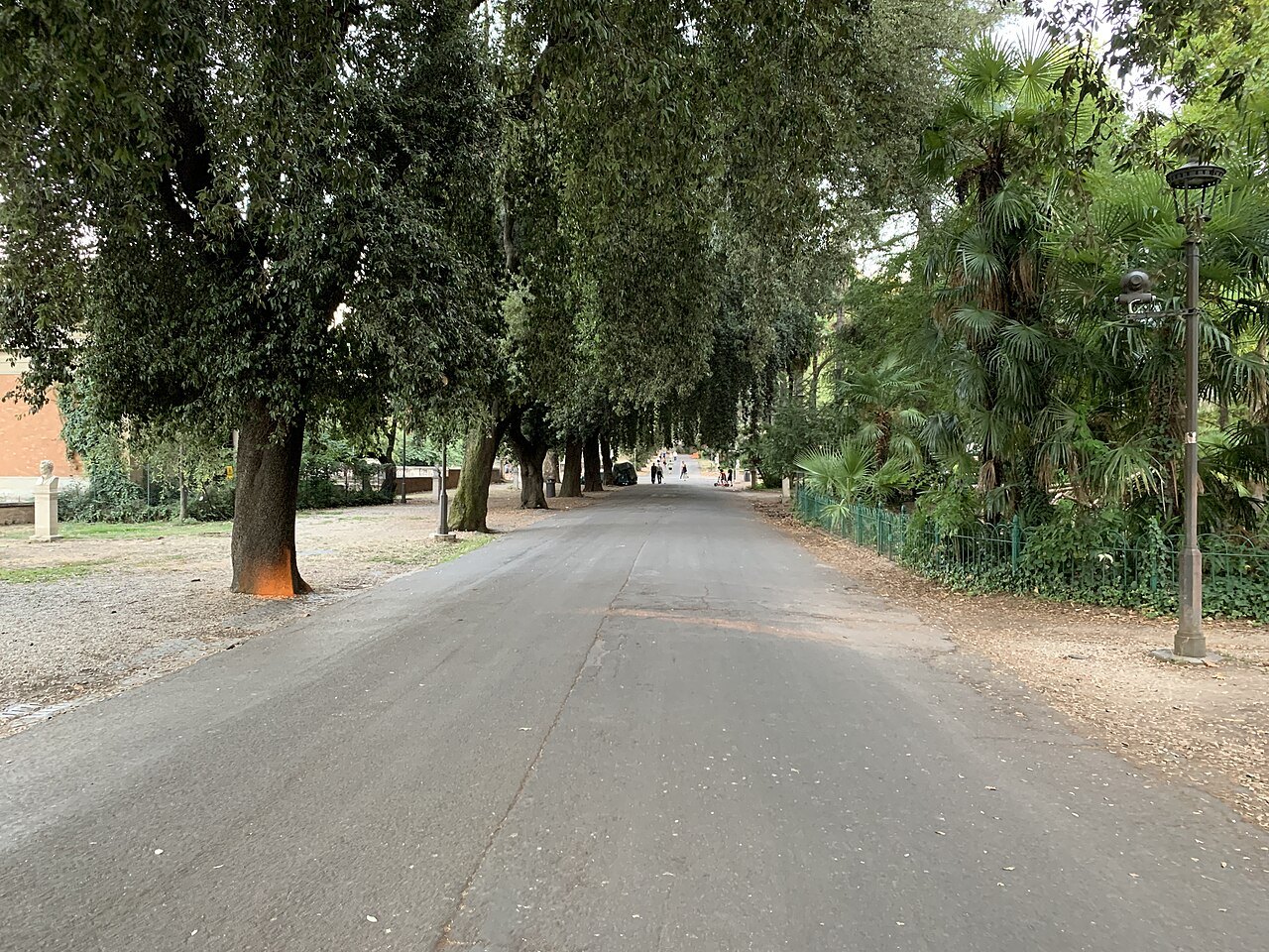A shaded avenue in the Villa Borghese gardens