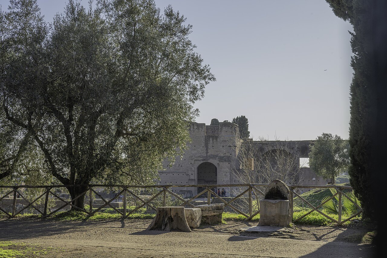 The Farnese Gardens on the Palatine seen through a railing, an olive tree in front