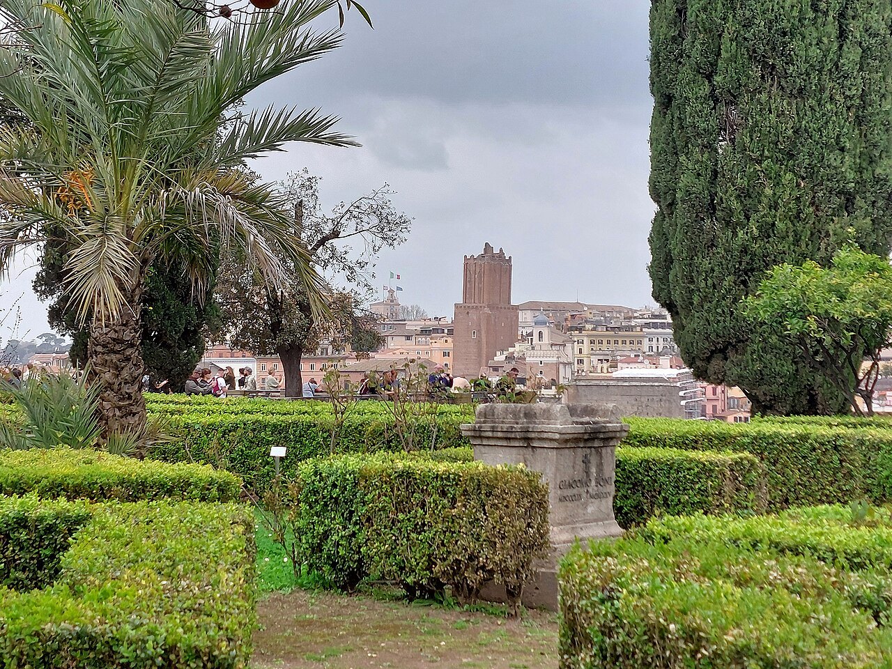 Clipped hedges and a palm in the Farnese Gardens, with a medieval tower on the skyline