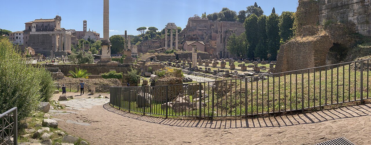 The Forum from the slope of the Capitoline, a column rising above the excavations