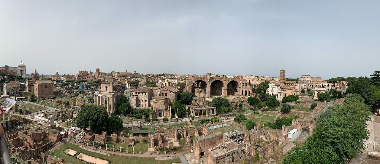 A wide view over the Forum and the Palatine from a height